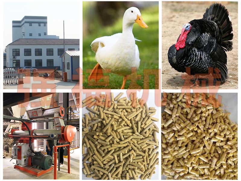 家禽飼料機(jī)械